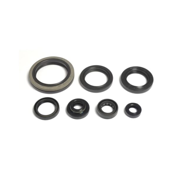 JOGO DE RETENTORES DO MOTOR ATHENA SUZUKI RMX 250 (97-00)